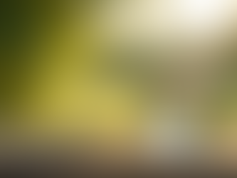 Trusted Psychics in France