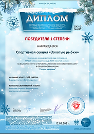 Скриншот 23-02-2021 234431.png