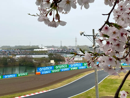 Suzuka Strikes Again - F1 Round 11