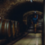 NV26_edit_VIN_hladky.jpg