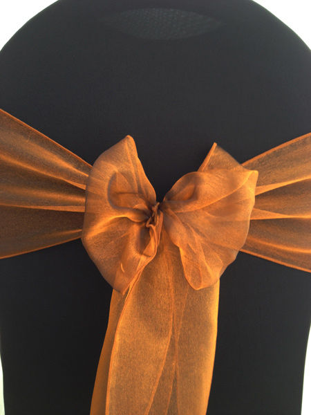 Thumbnail: Organza Sash