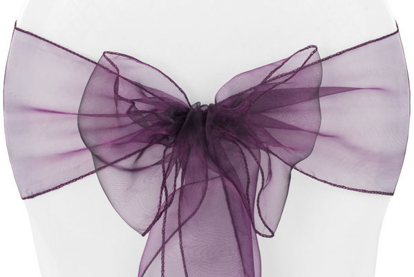 Thumbnail: Organza Sash