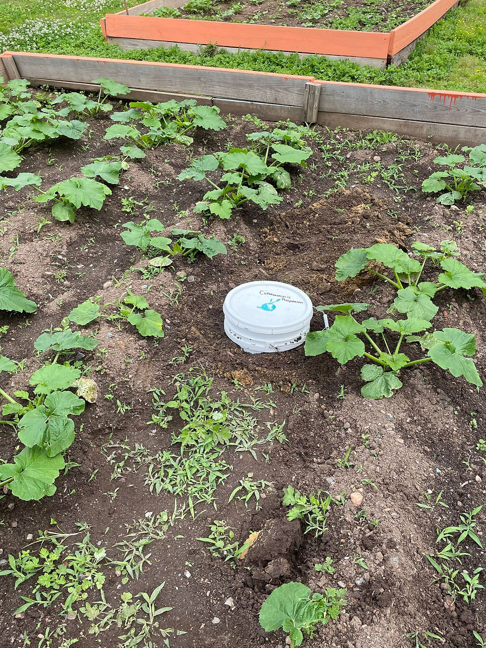 Worm Buckets in the Sanford NC Peace & Unity Community Garden!