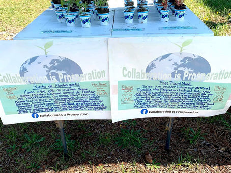 Free Plant Stand for Populate the Pollinators 2020!
