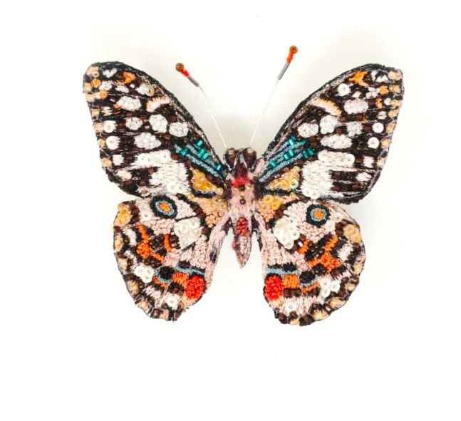 Trovelore Lime Swallowtail