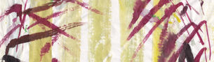 H E R B A R I U M