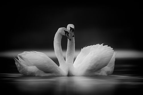 Two of Us-.jpg