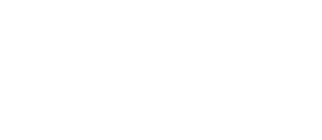 RAW Logo White.png