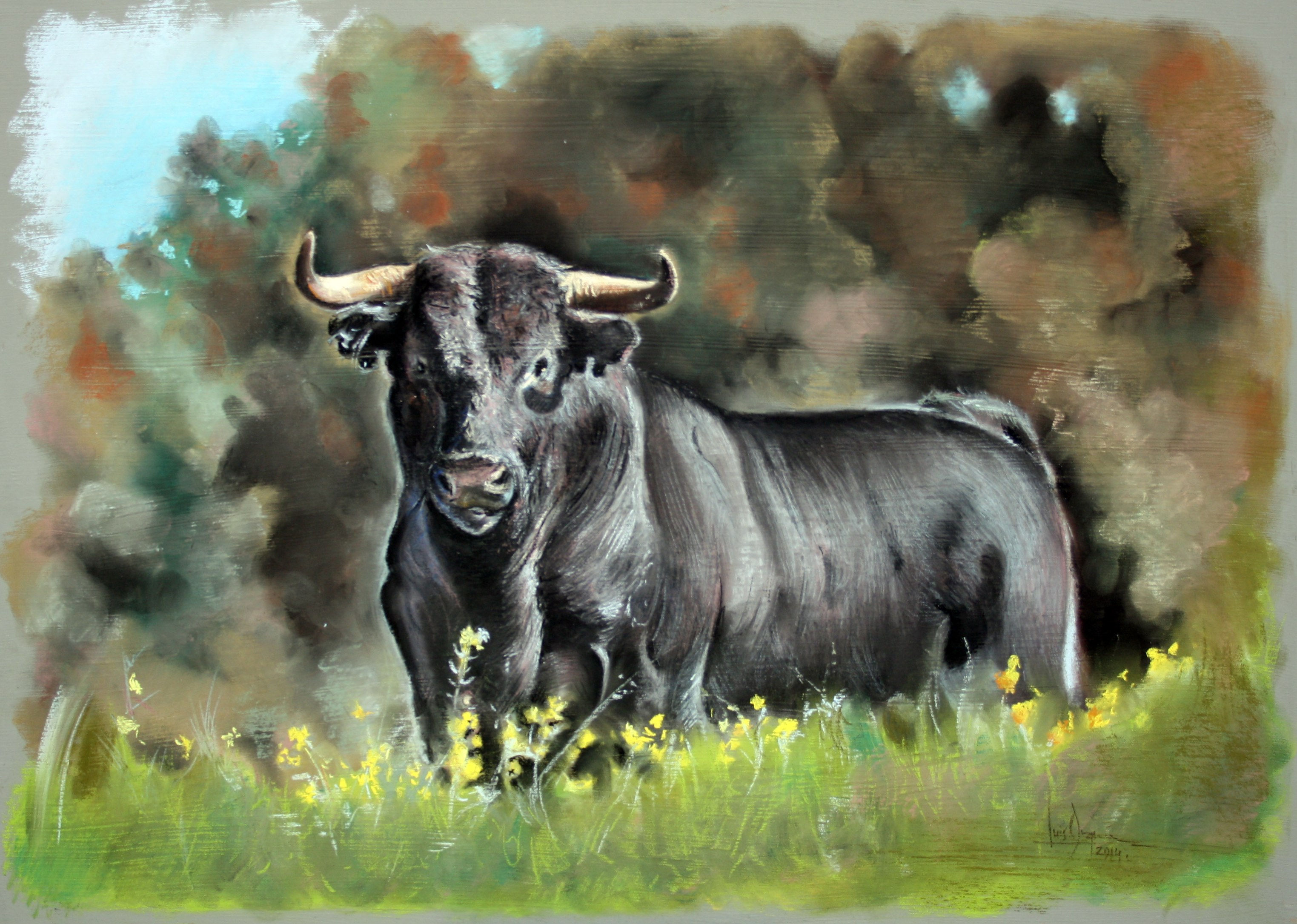 Toro Bravo