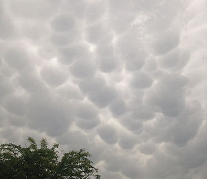 mammatus.jpg
