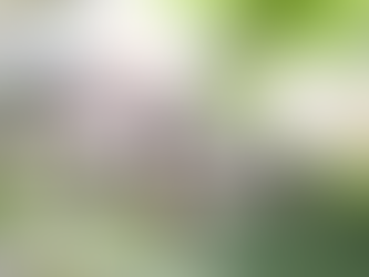 Stealing God's Credit 