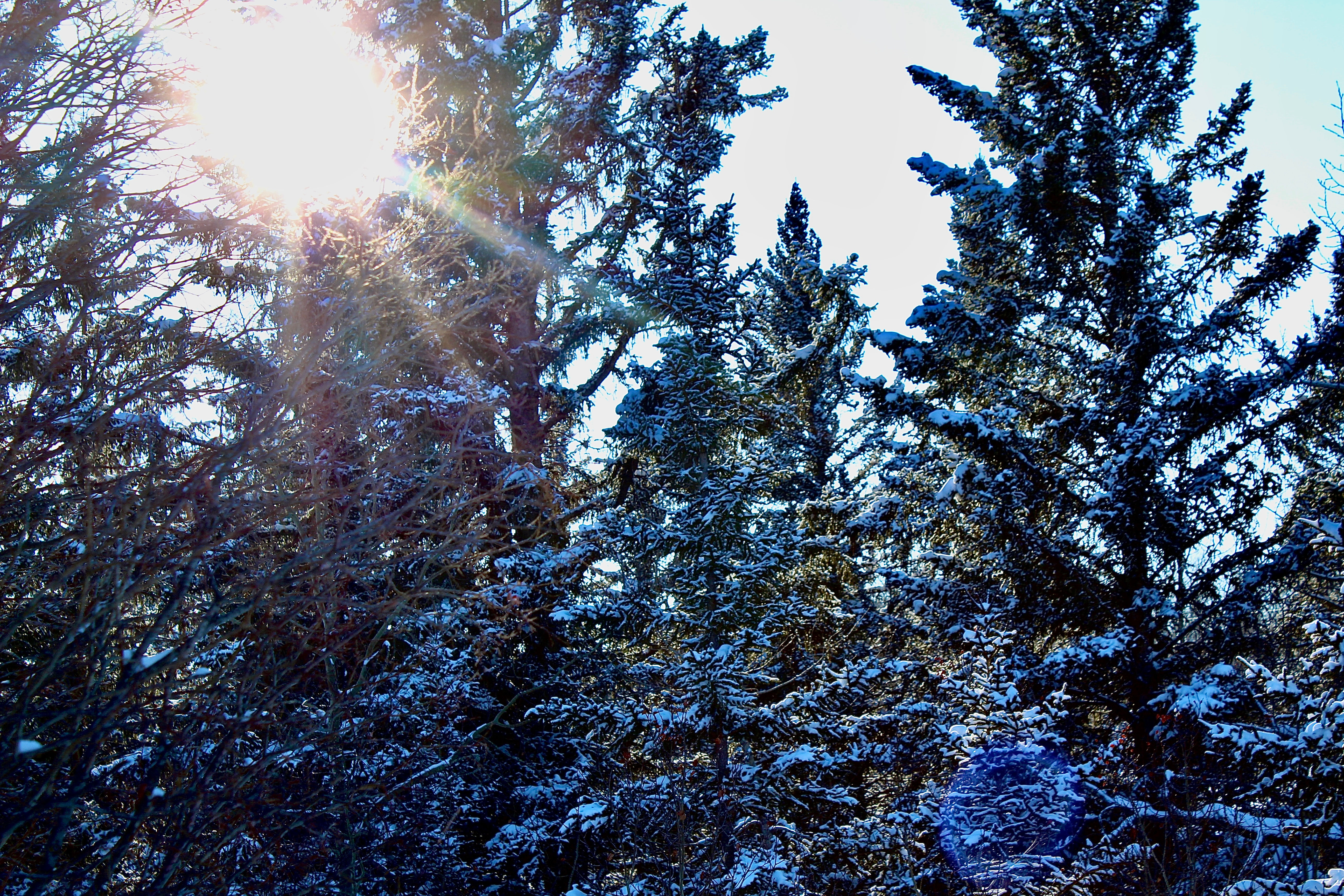 Feels Like Christmas