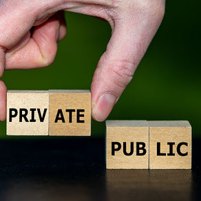 Resilience In the Public and Business Sectors