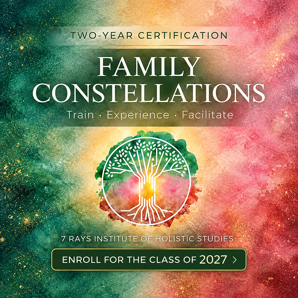2027 - 2028 Family Constellations Training