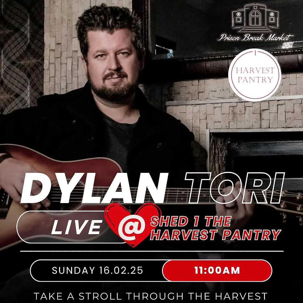 Dylan Tori Live