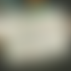 Adaptability Is a Critical Component of Business Success