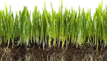 Harvest Agri has the precision farming agricultural technology for you.