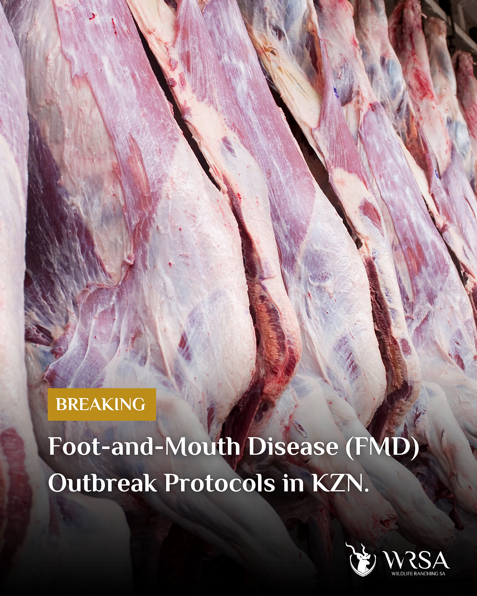 Foot-and-Mouth Disease (FMD) Outbreak Protocols in KZN