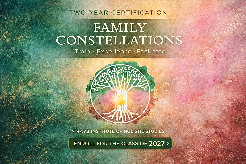 2027 - 2028 Family Constellations Training