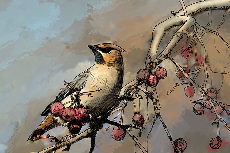 Renfrew Recovery Centre