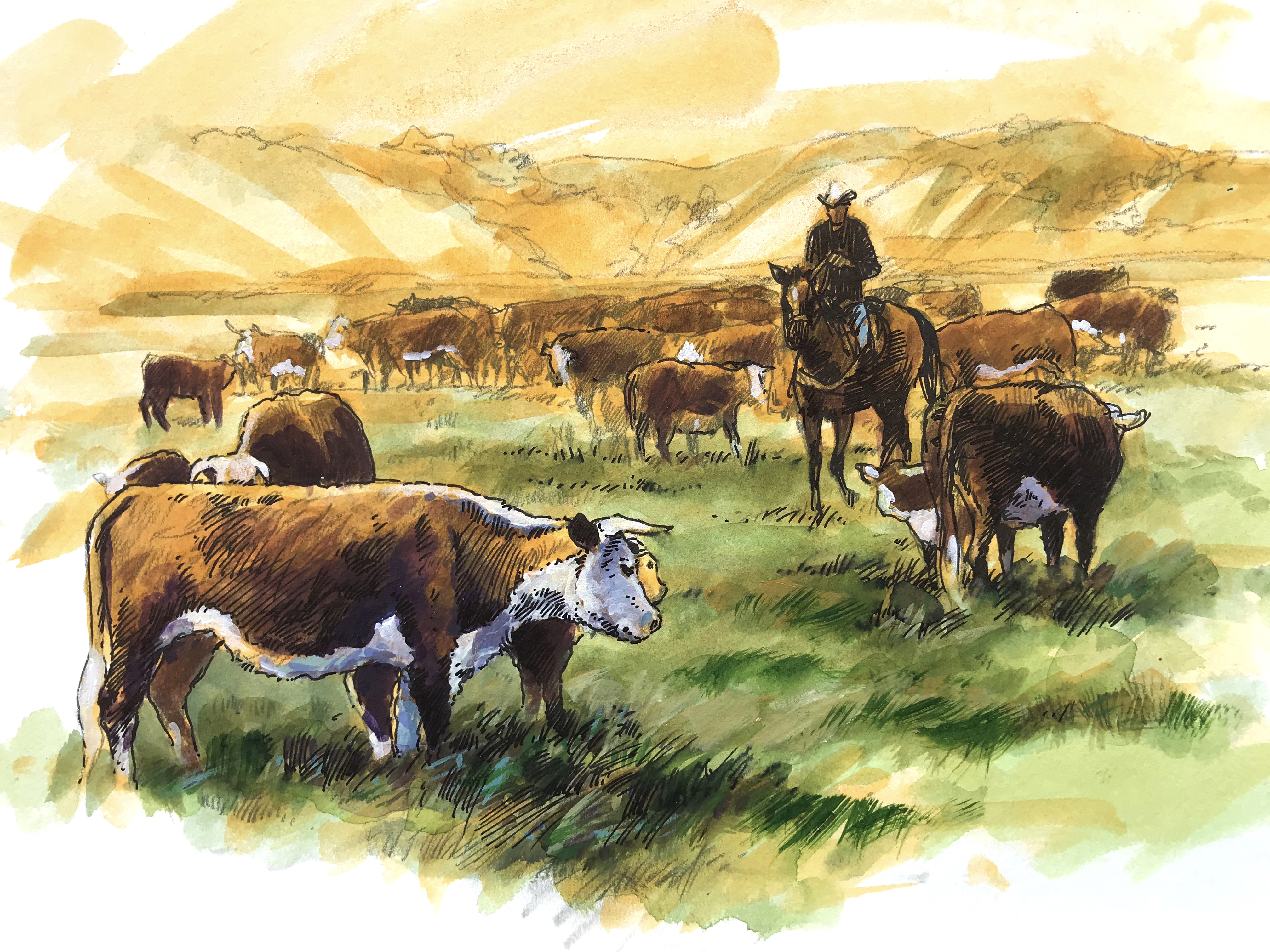 "Grazing"