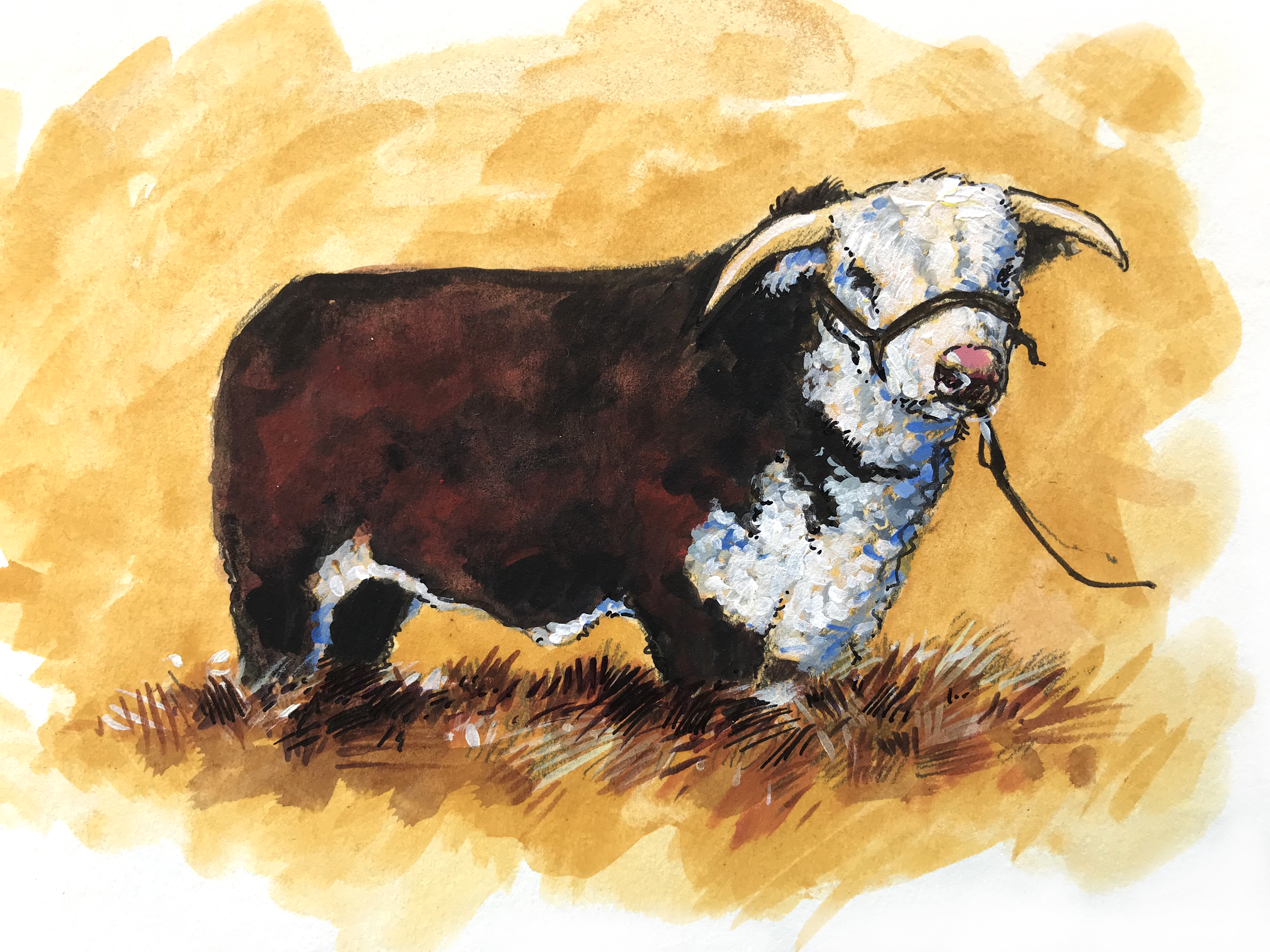 "Prize Bull"