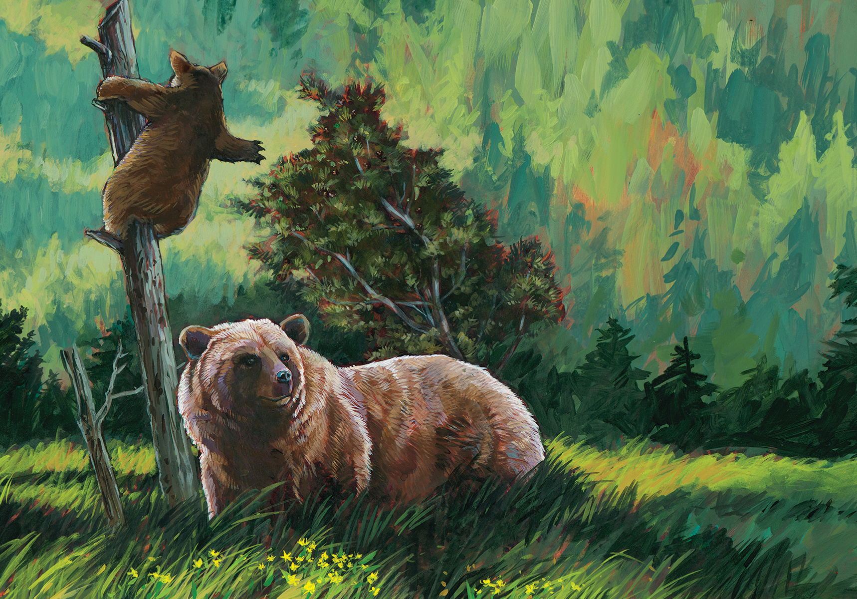 "Grizzlies"