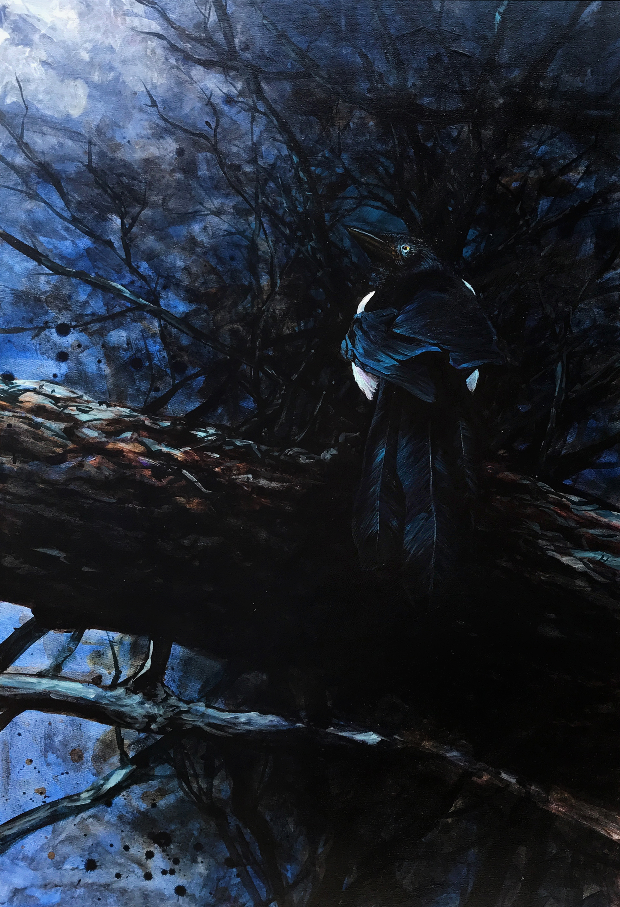 "Midnight Black"