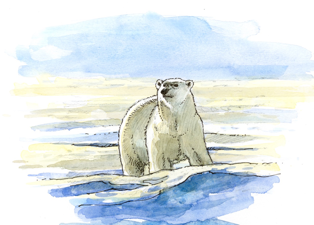 "Polar Bear"