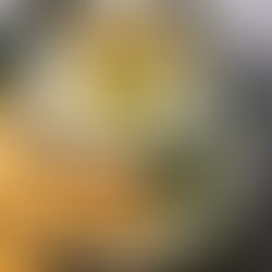 Creamy Cannellini Beans with Herbs