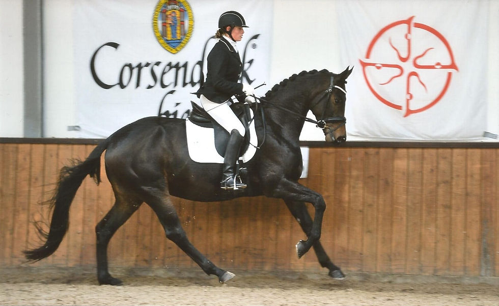 Elize op corsendonck cup.