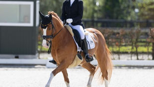 Gluckskind brengt Paulien Heylen naar winst bij de Pony's.