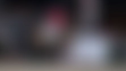 Urianto van den Dries nu ook goedgekeurd bij Hannoveraner Verband.