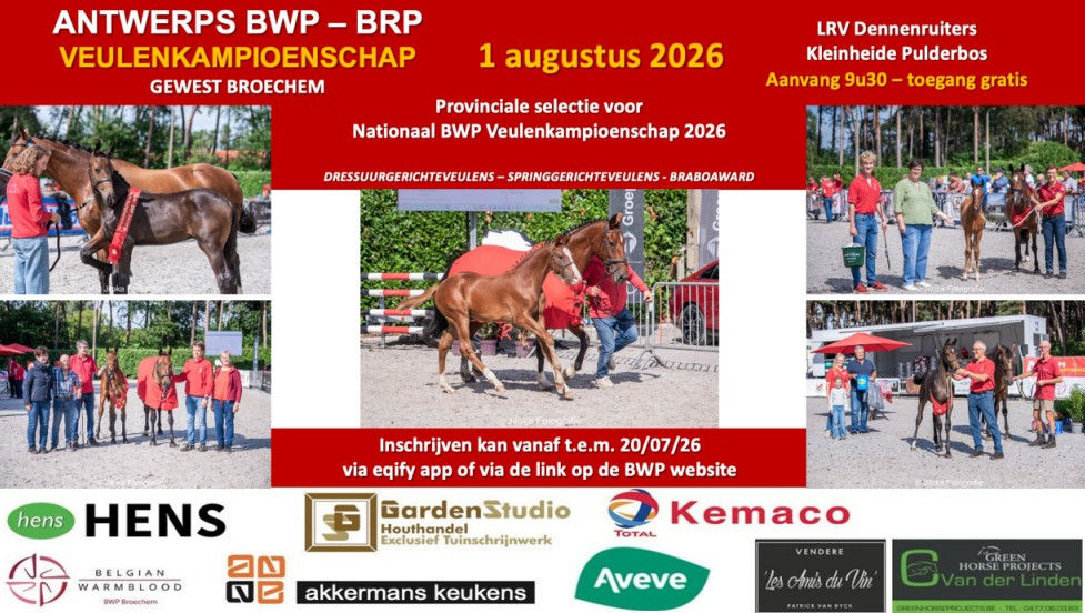 Antwerps Veulenkampioenschap staat voor de deur.