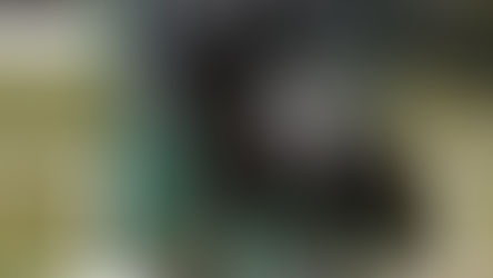 WinHorses' Eleven en Flore De Winne naar Wereldkampioenschap jonge paarden in Verden.