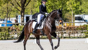 Belgische Young Riders zetten degelijke eerste stap op EK Dressuur in Hongarije.