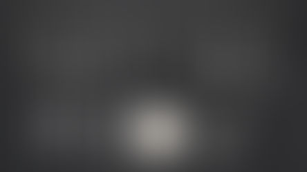 Jouw dressuurmoment in de spotlight, deel het met ons!