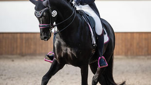 Isabel Cool schittert in Turnhout met goud en zilver in de Prix Saint Georges.
