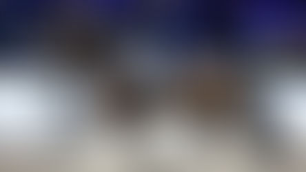 Belgische amazones houden stand in Londense Grand Prix Freestyle.