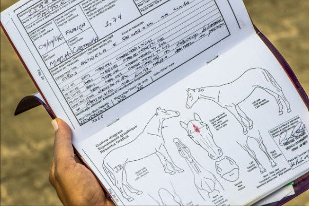 FEI maakt digitale vaccinatieregistratie verplicht.