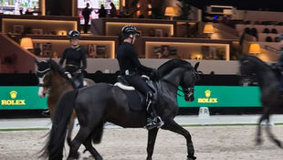 Belgische dressuurtalenten in actie in ’s-Hertogenbosch.