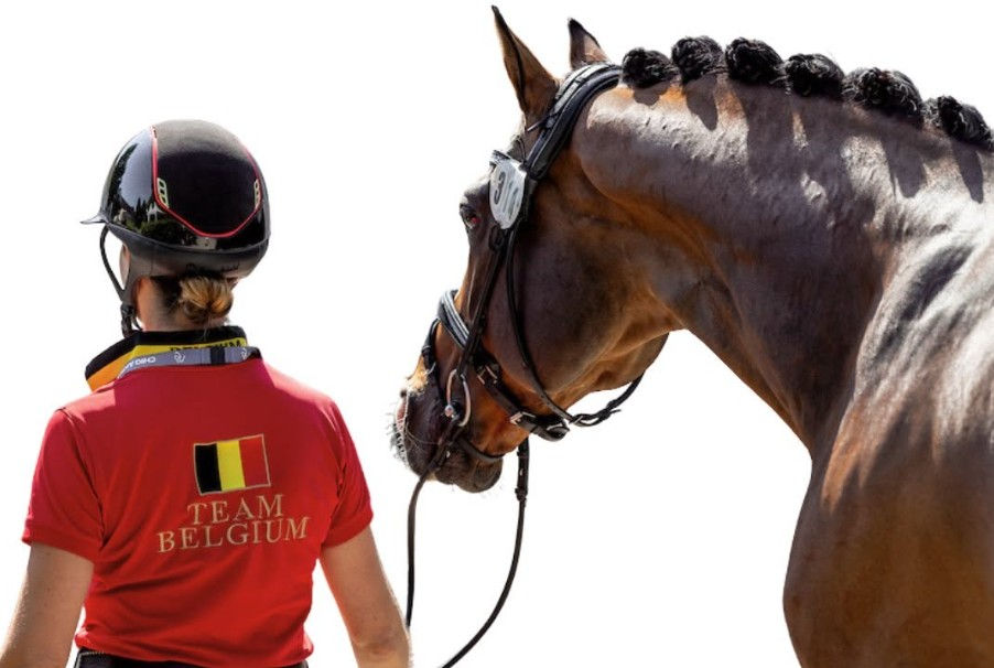 Een zomer vol ambitie: Belgische dressuurruiters jagen op Europees succes.