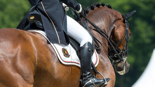 Nationaal dressuurtalent schittert in Turnhout.