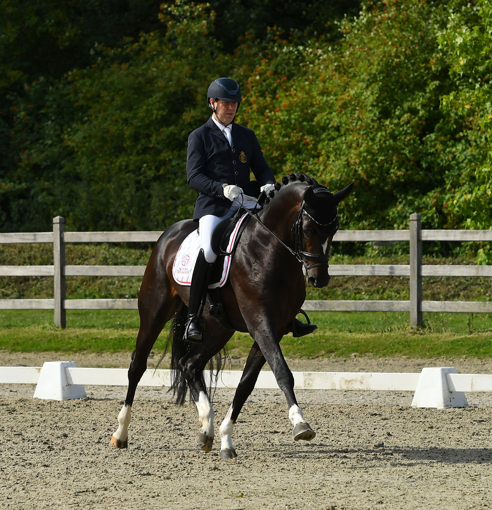 Voorstelling Belgische delegatie voor WK Jonge Paarden: Valente van ter Royen, eerste reserve met een veelbelovende toekomst.