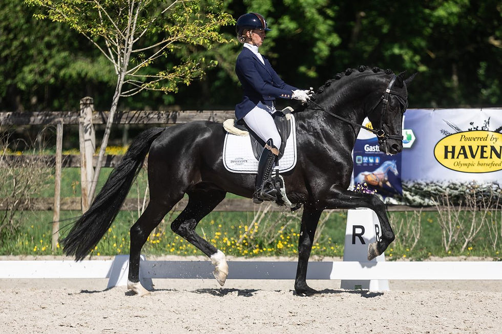 Beker van België Jonge Paarden in Gesves: jong talent toont toekomst van de sport.