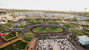 Elegantie in beweging: Olympische dressuur in Los Angeles 2028 krijgt vorm.