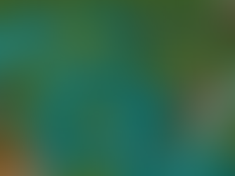 RCC80 - Log Flume Contest 2! (January 2026)