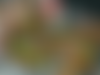 PCC5 - Park Themed to a Country