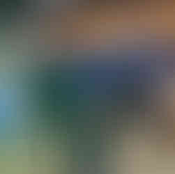 Qualyvinil e ABRAPP Associação dos Pintores Seguem Juntas: Retomada da Parceria é Celebrada com Treinamento na Oficina das Tintas