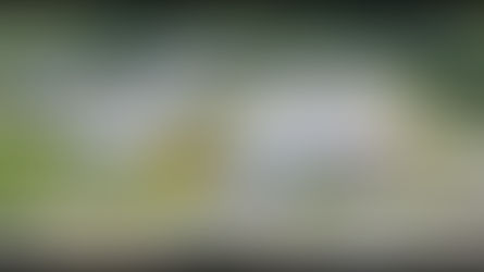 ADERE Confirma Renovação 2026 na Categoria Ouro com Nossa Querida ABRAPP - Associação dos Pintores Profissionais